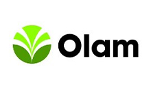 Olam